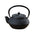 Samurai Iron Teapot Goes to the Fire 300ml to 900ml