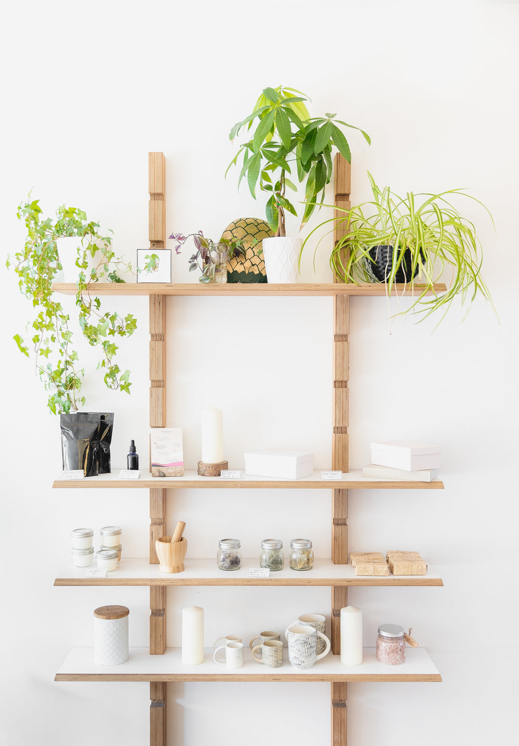 Decoronline+CO